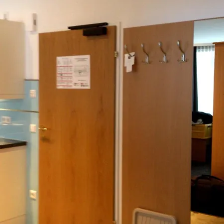 公寓 2-zi-komfort-ferienappartement 斯拉德明